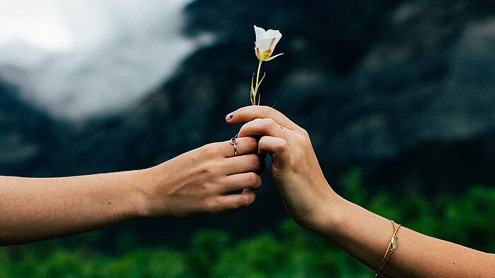 Frauenhand überreicht anderer Frau eine Blume